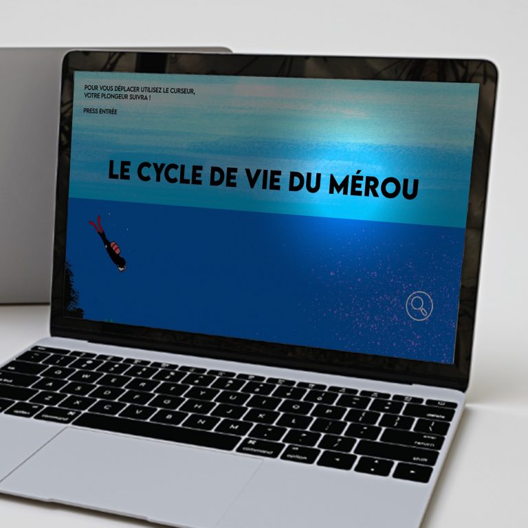 Frise interactive pédagogique